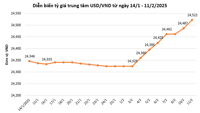 Tỷ giá trung tâm lần đầu vượt 24.500 VND/USD